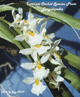 Фотографии видов орхидей